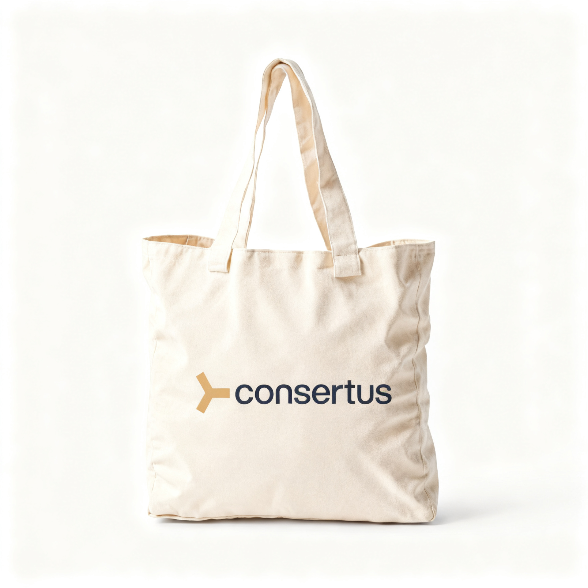 Tote Bag  42 x 32 cm