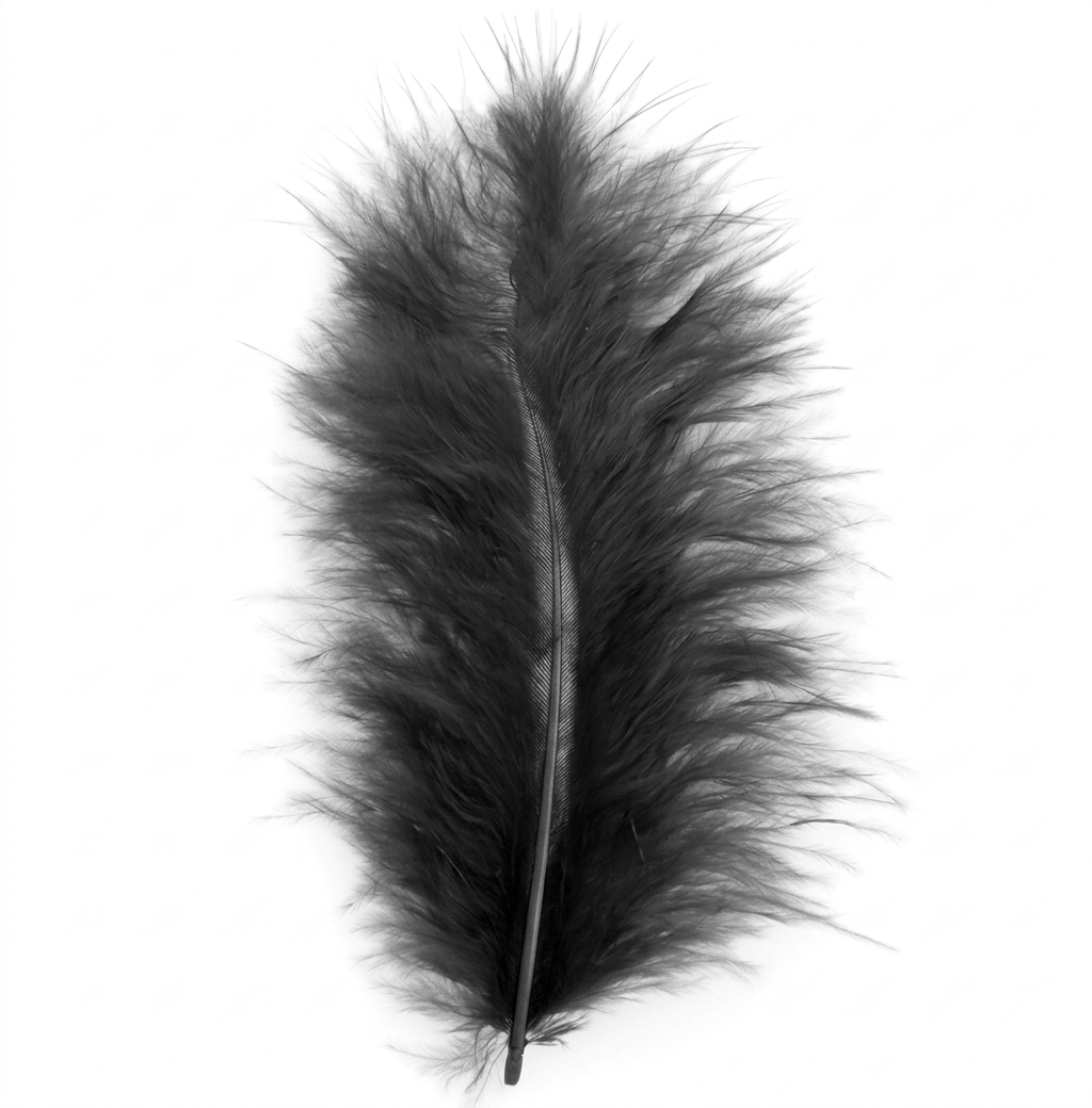 Feathers - Pack of 20 Pieces
