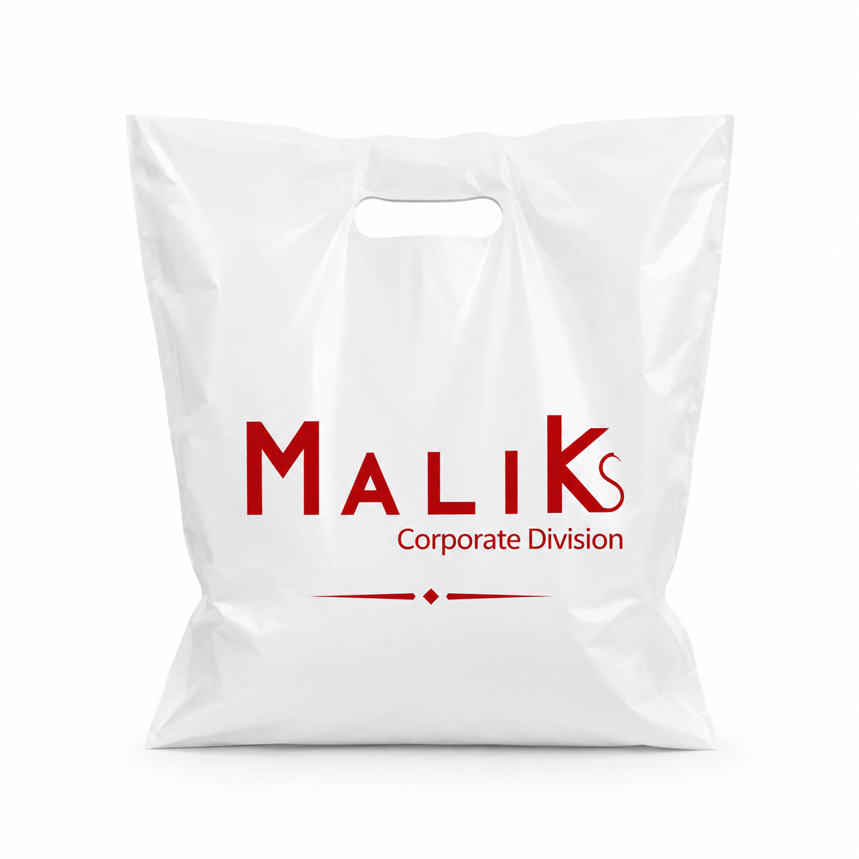 Carton/Nylon Bags