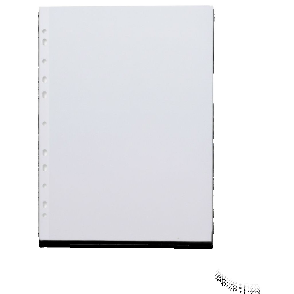 A4 Fizzy Clear Protector Sheet #46701